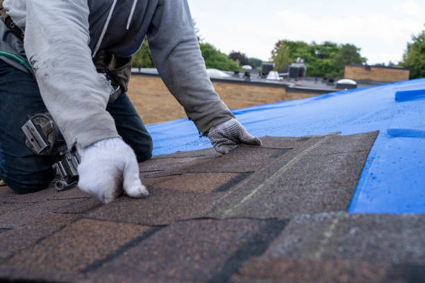 Best Shingle Roofing Installation  in Hannahs Mill, GA