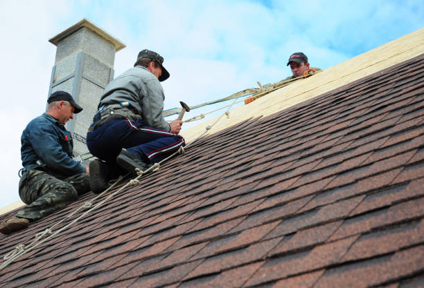Gutter Installation and Roofing in Hannahs Mill, GA